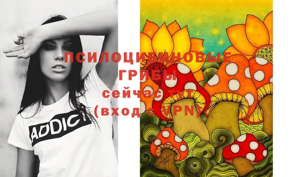 mdpv Верея