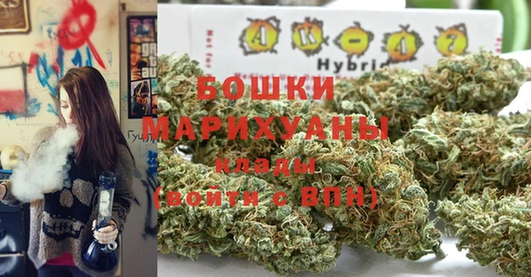 гидра Майский