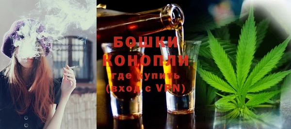 гидра Майский